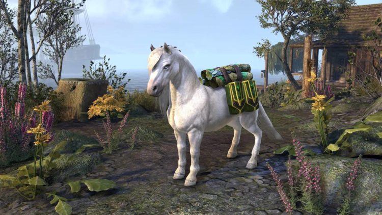 Mascota Pony nibenesa Elder Scrolls Online